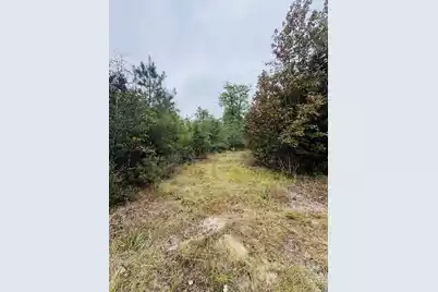 0 Fisk Road, Dorchester, SC 29437 - Photo 4