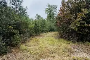 0 Fisk Rd, Dorchester, SC 29437 - Photo 4