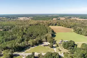 244 Hodges Rd, Kingstree, SC 29556 - Photo 82