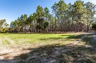 244 Hodges Rd, Kingstree, SC 29556 - Photo 64