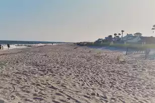 60 Rice Ln, Edisto Beach, SC 29438 - Photo 38