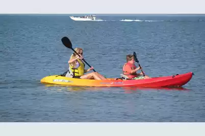 280 Driftwood Lane, Edisto Beach, SC 29438 - Photo 54