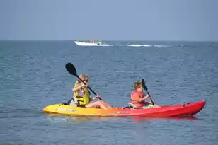 280 Driftwood Ln, Edisto Beach, SC 29438 - Photo 54