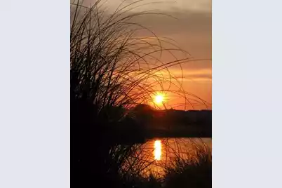 280 Driftwood Lane, Edisto Beach, SC 29438 - Photo 2