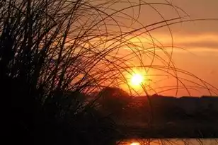 280 Driftwood Ln, Edisto Beach, SC 29438 - Photo 2