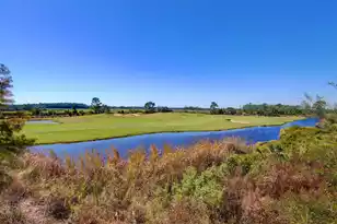 1876 Great Hope Dr, Mount Pleasant, SC 29466 - Photo 30