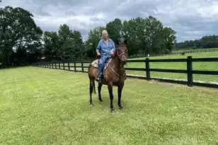 294 Nates Store Rd, Cameron, SC 29030 - Photo 42