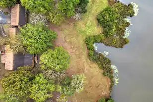 3644 Lake Marston Dr, Orangeburg, SC 29118 - Photo 6