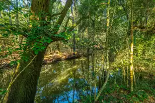 1063 Pinckney Street S, McClellanville, SC 29458 - Photo 14
