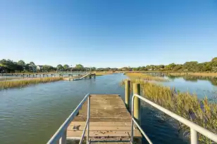 1462 Harborsun Dr, Charleston, SC 29412 - Photo 22