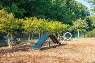 267 Denham St, Summerville, SC 29486 - Photo 14