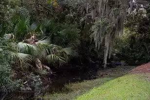 601 Double Eagle Trce, Seabrook Island, SC 29455 - Photo 42