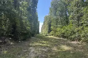 1571 1651 Creek Mill Rd, North, SC 29112 - Photo 1