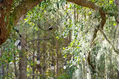 2205 Des Arc Road, Johns Island, SC 29455 - Photo 62