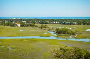 24 Seagrass Ln, Isle Of Palms, SC 29451 - Photo 70