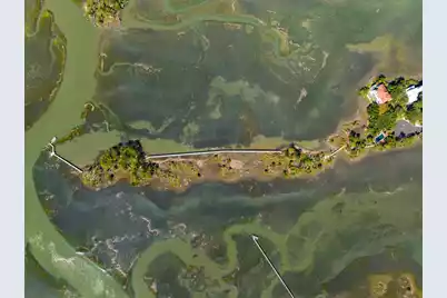 24 Seagrass Lane, Isle Of Palms, SC 29451 - Photo 76