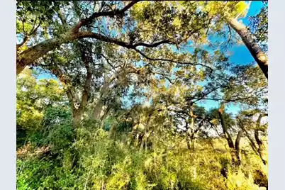 481 Paige Point, Seabrook, SC 29940 - Photo 4