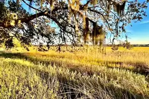 481 Paige Point, Seabrook, SC 29940 - Photo 1