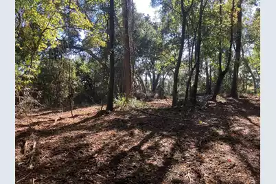 481 Paige Point, Seabrook, SC 29940 - Photo 6