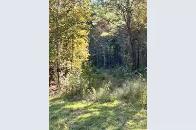 00 Saint Julian Drive, Cross, SC 29436 - Photo 4