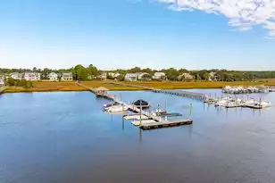 1005 Jervey Point Rd, Wando, SC 29492 - Photo 56