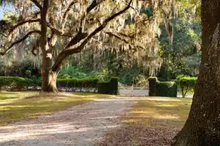 1305 River Rd, Yemassee, SC 29945 - Photo 80