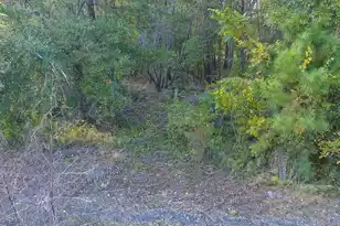 0 Shady Grove Rd, Saint George, SC 29477 - Photo 14