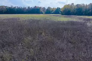 0 Shady Grove Rd, Saint George, SC 29477 - Photo 16