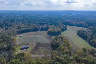 0 Shady Grove Rd, Saint George, SC 29477 - Photo 22