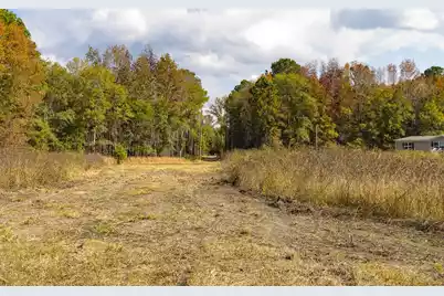 0 Shady Grove Road, Saint George, SC 29477 - Photo 8