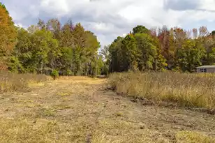 0 Shady Grove Rd, Saint George, SC 29477 - Photo 8