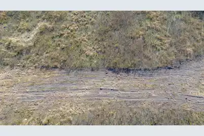 0 Shady Grove Road, Saint George, SC 29477 - Photo 18