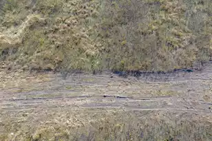 0 Shady Grove Rd, Saint George, SC 29477 - Photo 18