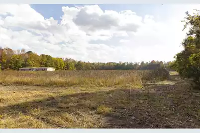 0 Shady Grove Road, Saint George, SC 29477 - Photo 6