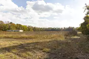 0 Shady Grove Rd, Saint George, SC 29477 - Photo 6