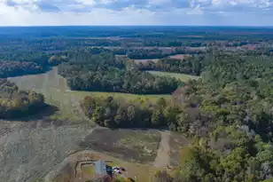 0 Shady Grove Rd, Saint George, SC 29477 - Photo 24