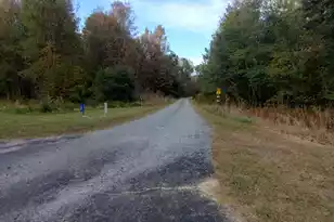 236 Julius Rd, Kingstree, SC 29556 - Photo 4