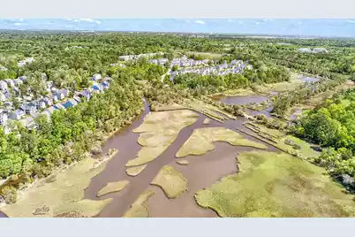 3169 Conservancy Lane, Charleston, SC 29414 - Photo 34