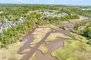 3169 Conservancy Ln, Charleston, SC 29414 - Photo 44