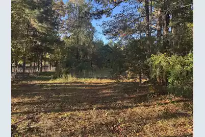 201 Creek Road, Reevesville, SC 29471 - Photo 2