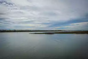 1666 B Marsh Harbor Ln, Mount Pleasant, SC 29464 - Photo 28