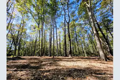 3047 Fickling Hill Road #C-1, Johns Island, SC 29455 - Photo 6