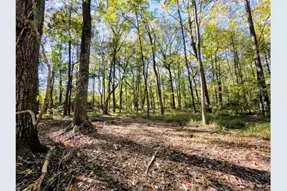 3047 Fickling Hill Road #C-1, Johns Island, SC 29455 - Photo 6