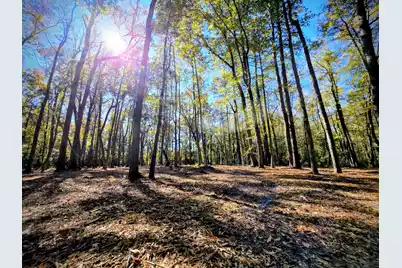 3047 Fickling Hill Road #C-1, Johns Island, SC 29455 - Photo 4