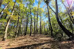 3047 Fickling Hill Rd, Johns Island, SC 29455 - Photo 1