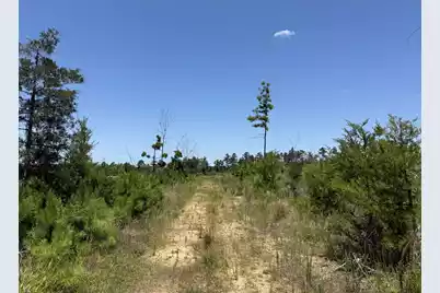 0 Halsellville Rd Road, Chester, SC 29706 - Photo 10