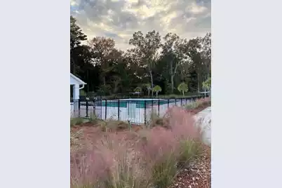 389 Matuskovic Drive, Charleston, SC 29414 - Photo 36