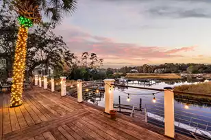 3528 Henrietta Hartford Rd, Mount Pleasant, SC 29466 - Photo 44