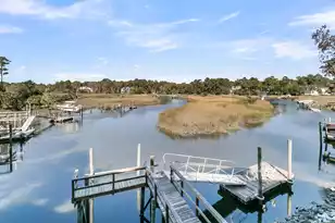 3528 Henrietta Hartford Rd, Mount Pleasant, SC 29466 - Photo 56
