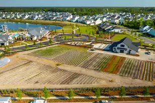 285 Citrus Dr, Summerville, SC 29486 - Photo 58